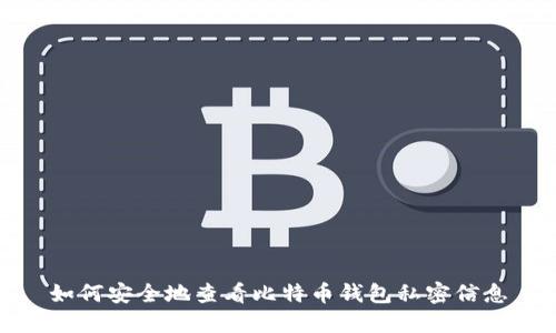 如何安全地查看比特币钱包私密信息