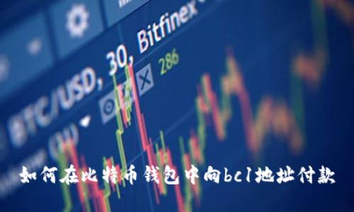 如何在比特币钱包中向bc1地址付款