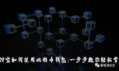 支付宝如何使用比特币钱包：一步步教你轻松掌握！