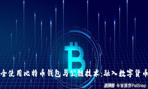 如何安全使用比特币钱包与公链技术：融入数字货币的未来