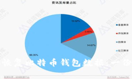 如何有效恢复比特币钱包数据：一份详细指南