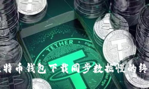 解决比特币钱包下载同步数据慢的终极指南