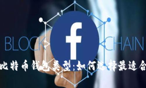 深入解析比特币钱包类型：如何选择最适合您的钱包