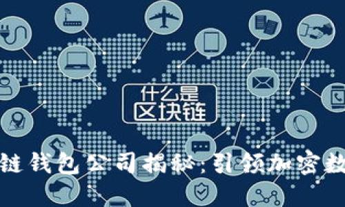 全球最大区块链钱包公司揭秘：引领加密数字资产新时代
