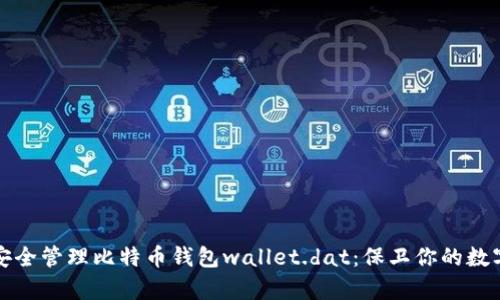 如何安全管理比特币钱包wallet.dat：保卫你的数字财富