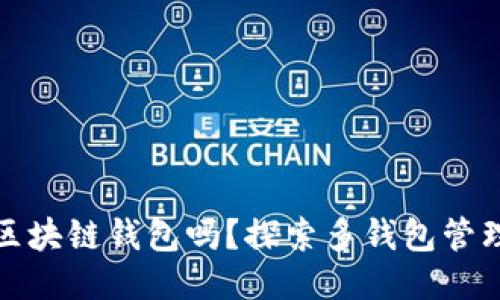 可以使用多个区块链钱包吗？探索多钱包管理的优势与策略