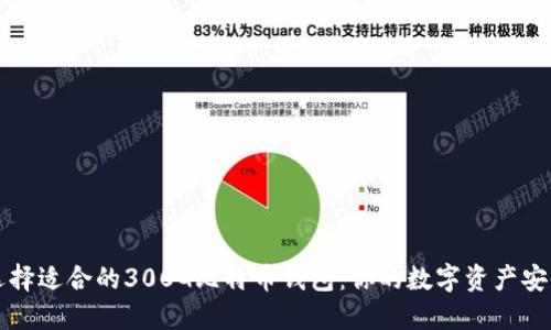 如何选择适合的300G比特币钱包：你的数字资产安全指南