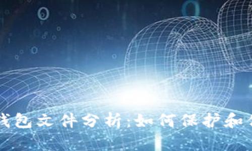 深入比特币钱包文件分析：如何保护和你的数字资产