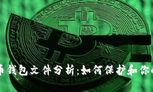 深入比特币钱包文件分析：如何保护和你的数字资产