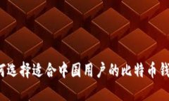 如何选择适合中国用户的