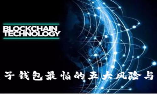 比特币电子钱包最怕的五大风险与防护策略