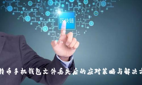 比特币手机钱包文件丢失后的应对策略与解决方案