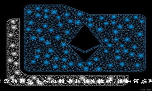 当你的钱包导入比特币私钥失效时，该如何应对？