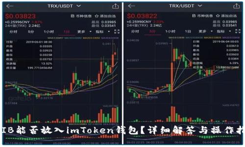SHIB能否放入imToken钱包？详细解答与操作指南