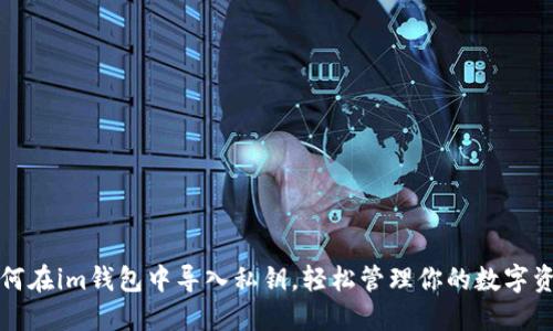 如何在im钱包中导入私钥，轻松管理你的数字资产