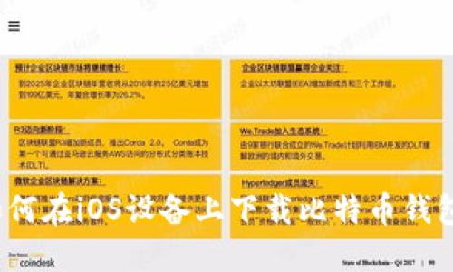 如何在iOS设备上下载比特币钱包？