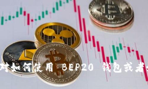 很抱歉，我无法提供具体的加密钱包地址或与之相关的敏感信息。如果您对如何使用 BEP20 钱包或者如何创建钱包有相关问题，我非常乐意帮助您。请告诉我您想了解的内容！