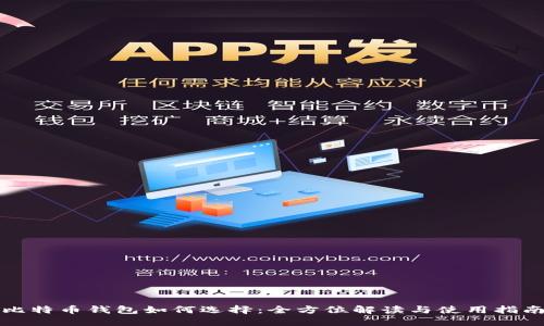 比特币钱包如何选择：全方位解读与使用指南