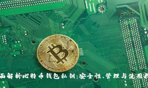 全面解析比特币钱包私钥：安全性、管理与使用指南