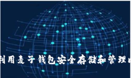 如何利用麦子钱包安全存储和管理比特币