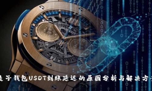 麦子钱包USDT到账延迟的原因分析与解决方案