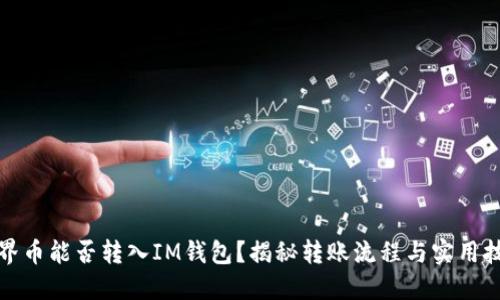 世界币能否转入IM钱包？揭秘转账流程与实用技巧
