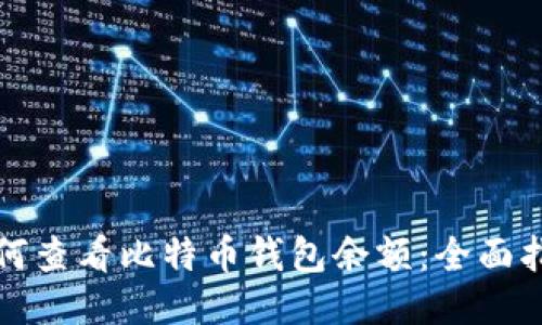 如何查看比特币钱包余额：全面指南