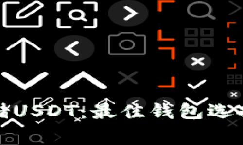 如何安全存储USDT：最佳钱包选择与注意事项