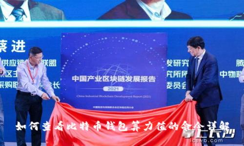 如何查看比特币钱包算力值的命令详解