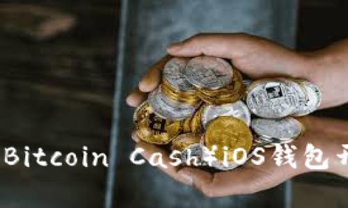 比特币现金（Bitcoin Cash）iOS钱包开发源码解析