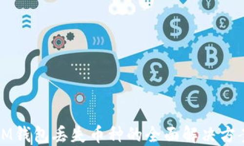 
IM钱包丢失币种的全面解决方案