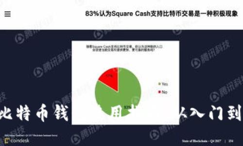 BTC比特币钱包使用指南：从入门到精通