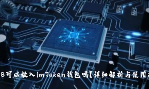 SHIB可以放入imToken钱包吗？详细解析与使用指南