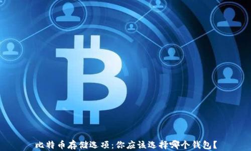 
比特币存储选项：你应该选择哪个钱包？