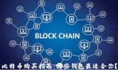 比特币购买指南：哪些钱