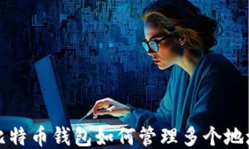 
比特币钱包如何管理多个地址