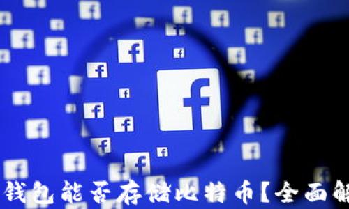 
IM钱包能否存储比特币？全面解析