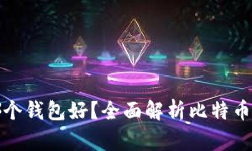 : 比特币存哪个钱包好？全面解析比特币钱包选择指南