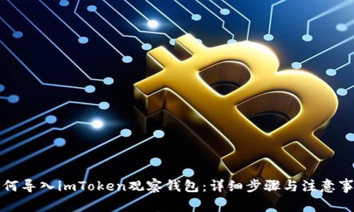 如何导入imToken观察钱包：详细步骤与注意事项